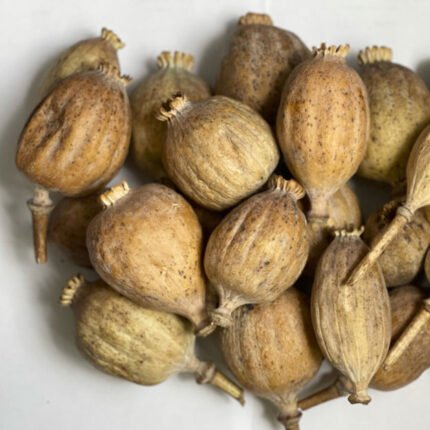 grade-b-dried-poppy-heads-1kg