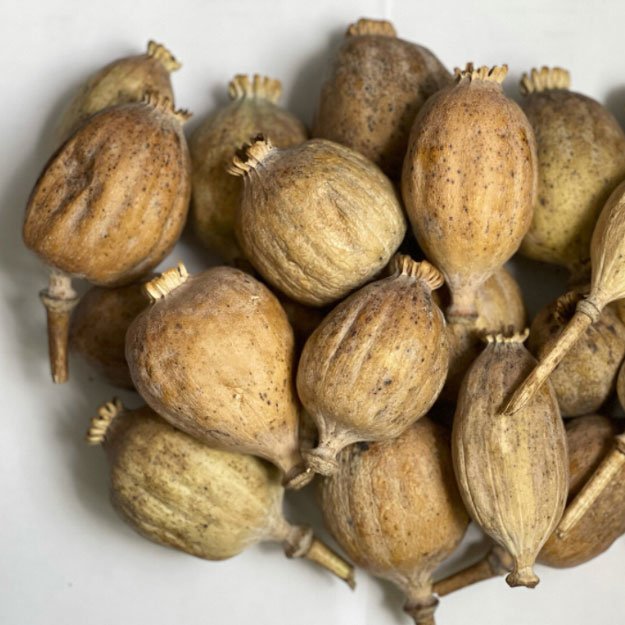 grade-b-dried-poppy-heads-1kg