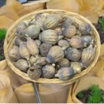 Large Dried Poppy Heads (42mm - 54mm)